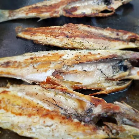 Penzion Balani Shkodër