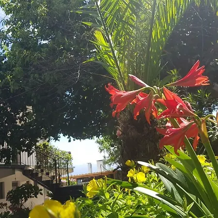 Balani 게스트하우스 4*