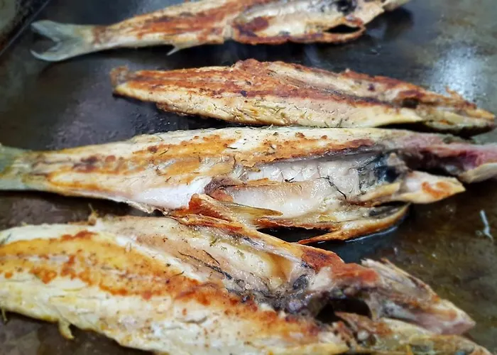 招待所 Balani Shkodër