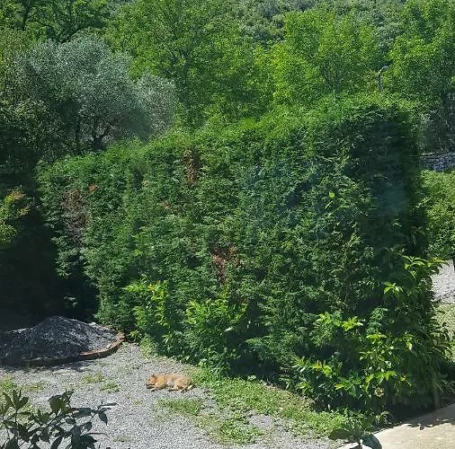 Balani Pensionat Shkodër