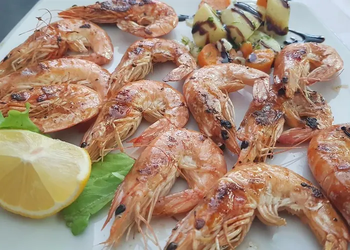 招待所 Balani Shkodër