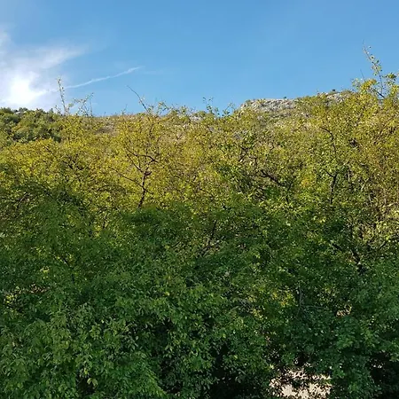 Balani Πανσιόν 4*