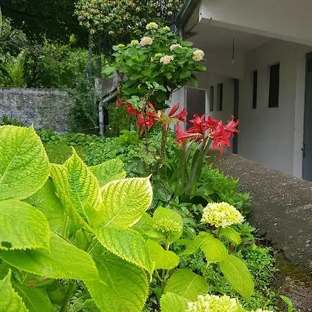 View Balani Restaurant Guest house