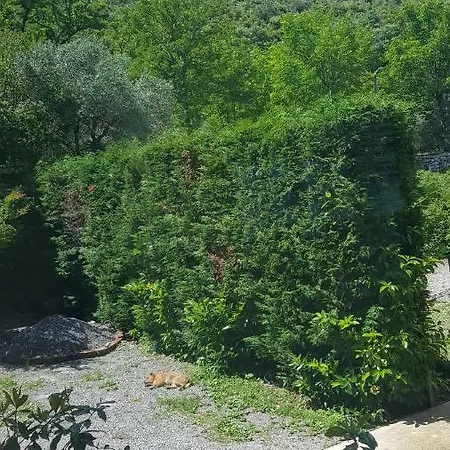 Balani Πανσιόν Σκόδρα